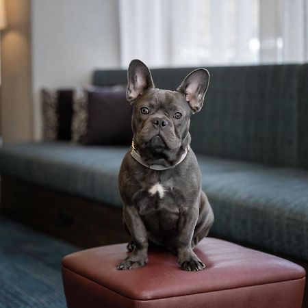 Hampton Inn Cleveland-Downtown Bagian luar foto