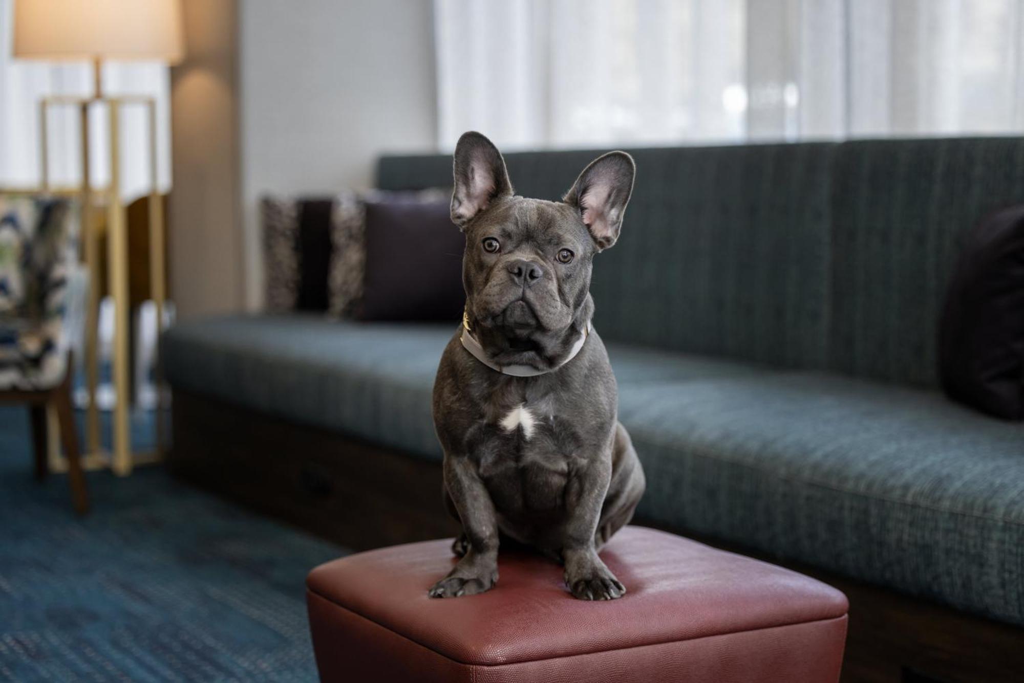 Hampton Inn Cleveland-Downtown Bagian luar foto
